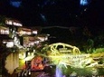 Fairy Fox Outdoor Music&Dancing Show( Pickup and drop off at Wulingyuan Town) 