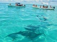 Snorkeling in Sian Ka'an