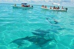 Snorkeling in Sian Ka'an