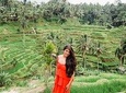 The Best Package Private Tours Explore Ubud Village with Lunch