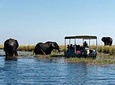 From Livingstone, Victoria Falls, Kasane: One Day & Overnight Chobe Safari