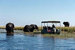 From Livingstone, Victoria Falls, Kasane: One Day & Overnight Chobe Safari