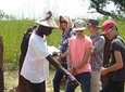 Private Janjangbureh Overnight Tour