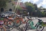 Austin E-Bike Brunch Tour 