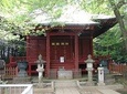 Nature tour at Mt. Takao