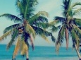 09 Days Sri Lanka private tour with Hotels and Air conditioned Vehicle