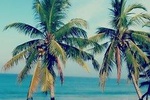 09 Days Sri Lanka private tour with Hotels and Air conditioned Vehicle