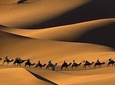 10-day private tour: The Sahara Desert and Imperial Cities.Rabat starting point.