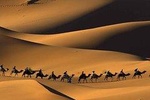 10-day private tour: The Sahara Desert and Imperial Cities.Rabat starting point.