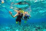 Hamata Island snorkeling tour from Marsa Alam 