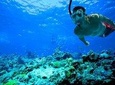 Private Premium Snorkeling Tour by Speedboat with Pick-up (Optional)