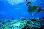 Private Premium Snorkeling Tour by Speedboat with Pick-up (Optional)