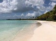 Saona Island Discovery