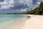 Saona Island Discovery