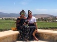 Full-Day Wine and Tastings Tour in Valle De Guadalupe 