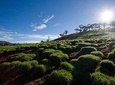 Culture and Wilderness (8 Days)