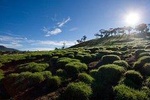 Culture and Wilderness (8 Days)