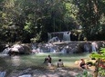 Black River Safari, YS Falls and Appleton Estate 