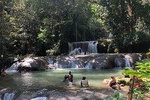 Black River Safari, YS Falls and Appleton Estate 