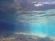 Snorkeling among the Underwater Caves of Ischia Ponte