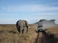 Arusha National park Day Trip