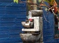 Hummingbird Watching Private Tour (4 Hrs.)