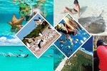Contoy Island