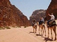 2 days 1 night in wadi rum including Dead Sea And Petra tour 