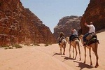 2 days 1 night in wadi rum including Dead Sea And Petra tour 