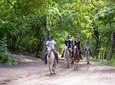 Horseback riding