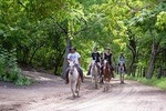 Horseback riding