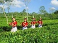 Private Tour: 5 Days - Bangladesh Nature & Culture Tour - North-eastern part