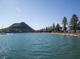 4hr Tauranga Scenic History and Tasting Tour FREE Kiwifruit Ice Cream
