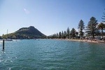 4hr Tauranga Scenic History and Tasting Tour FREE Kiwifruit Ice Cream