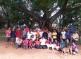 A Trail Through Parks Of Bangalore