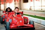 Full Day Abu Dhabi City Tour with Ferrari World Ticket