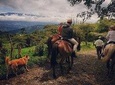 Queveri Horseback Riding Tours