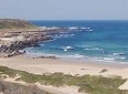 Guided Marine Walk: - Sardinia Bay (Marine Protected Area) - 2 hours