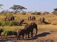 Day trip to Tarangire