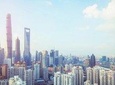 Private Layover Tour of the Bund, Shanghai Tower, Xintiandi, Nanjing Road...