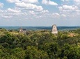 TikalVIP private day Tour from Flores or tikal with transport and drinks
