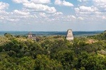TikalVIP private day Tour from Flores or tikal with transport and drinks