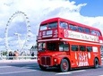 Brigit's Afternoon Tea Bus
