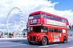 Brigit's Afternoon Tea Bus