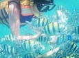 Snorkeling Tour In Gili Nanggu