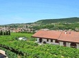 Valpolicella - The wine paradise