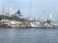 Sponge Dock Stroll