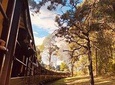 Private Yarra Valley And Puffing Billy Tour