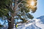 Sightseeing all-inclusive Private Tour to Qadisha Valley, Bcharre and Cedars