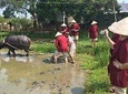 Hoi An Vegetable Farming life Experience Tour